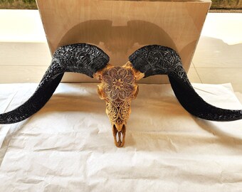 carve ram skull mandala with carved horn