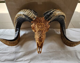 手彫りの羊の頭蓋骨 – 蓮の曼荼羅模様の骨製壁掛け装飾 - Etsy 日本
