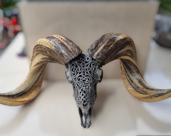 carve ram skull carving celtic grey HUGE