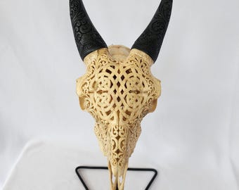 Carve goat skull celtic antic