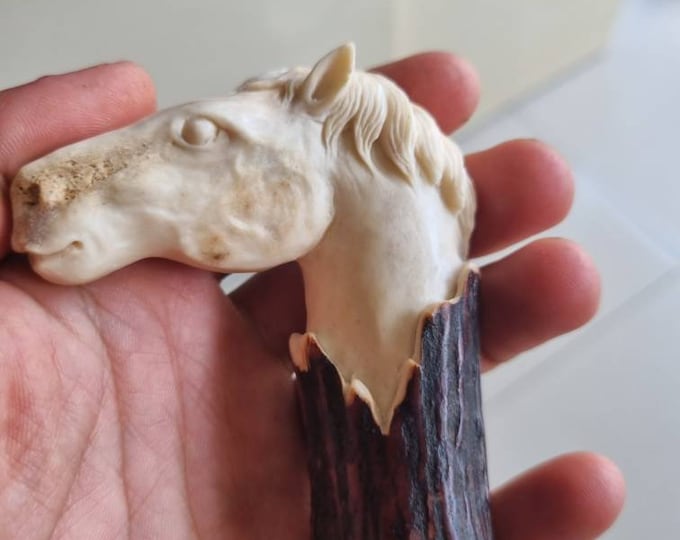 antler carving knife handle horse head beautiful