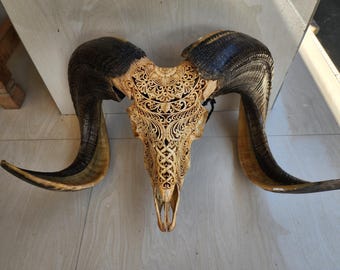 carve ram skull carving half mandala with carved horn