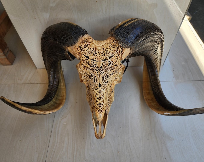 carve ram skull carving half mandala with carved horn