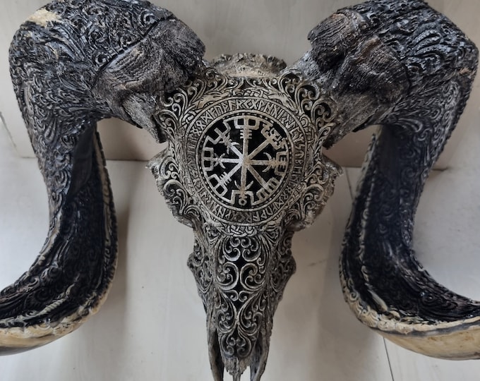 carve ram skull carving viking grey with carved horn