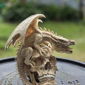 Hand Carved Dragon Sculpture, Buffalo Bone Dragon on Tamarind Wood Skull