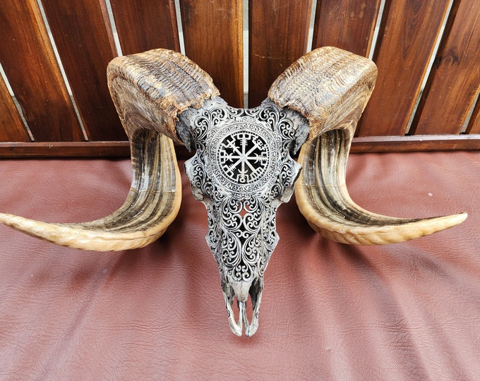 carve ram skull carving viking grey HUGE
