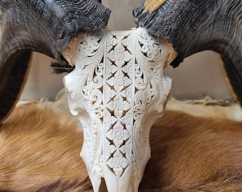carve ram skull carving white patern style
