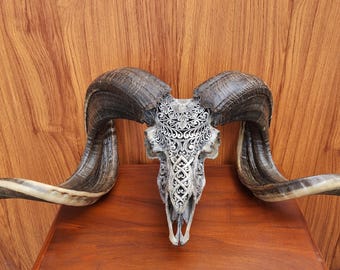 carve ram skull carving half Mandala grey