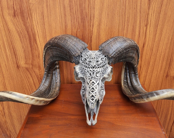 carve ram skull carving half Mandala grey