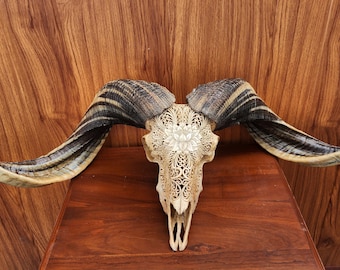 carved ram skull carving lotus antique wide
