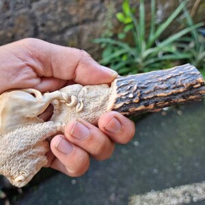 K&ouml;nnte beinhalten: Eine handgeschnitzte Holzskulptur von zwei Bisons, einer steht auf dem anderen. Die Skulptur ist aus hellem braunem Holz gefertigt und hat eine nat&uuml;rliche Oberfl&auml;che. Die Skulptur ist auf einem St&uuml;ck Geweih montiert.