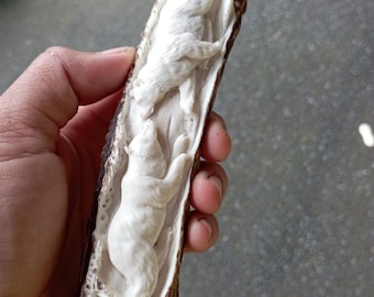 Deer antler carving knife handle  bear relieft