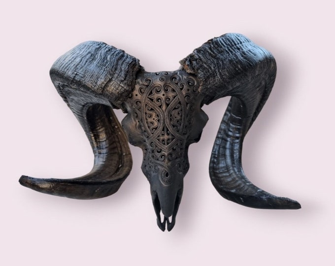 carve goat skull carving V grey HUGE
