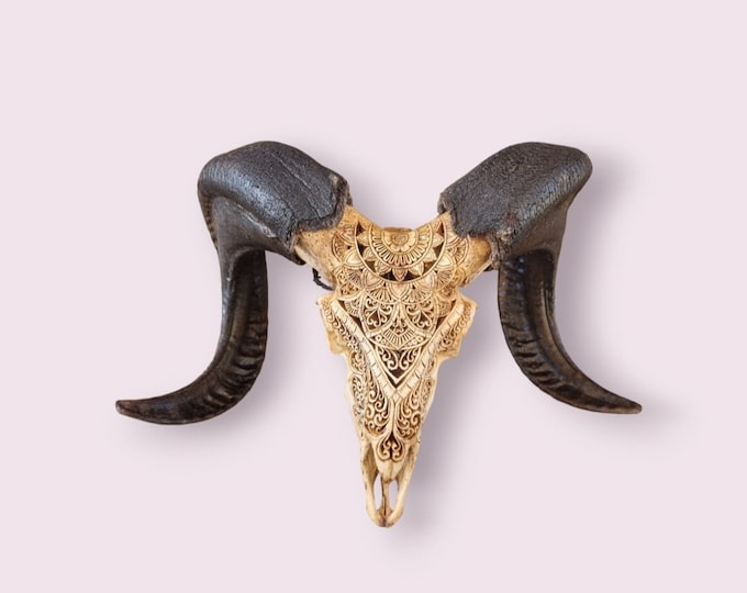 carve ram skull carving celtic antic