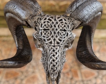 carve ram skull carving celtic grey HUGE
