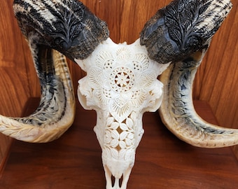 carved ram skull carving mandala white