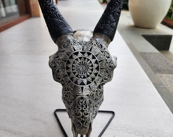 Artistic Mandala Bone Sculpture | Goat Horn Home Decor