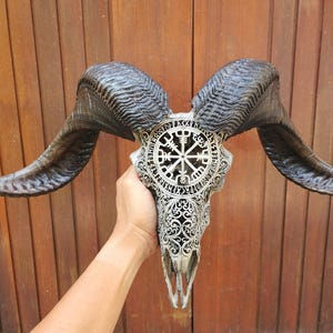 carve ram skull carving viking antic