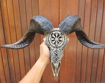 carve ram skull carving viking antic