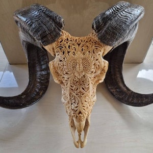carve ram skull carving Flower antic
