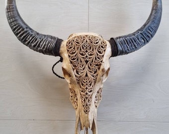 Carve buffalo skull carving floral antic