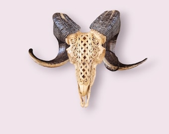 carve ram skull celtic antic