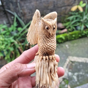Moose antler carving owl 3d for gift