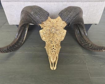 Real Ram Skull with Mandala Engraving – Ethical Bone Carving – Tribal Wall Art