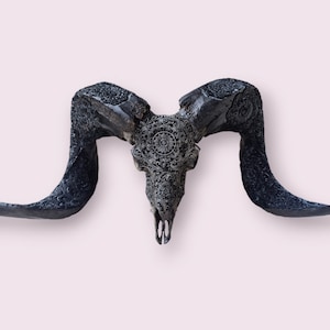 carved ram skull with carved horn carving mandala grey