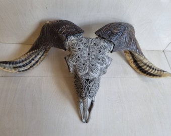 ram skull carving Mandala grey