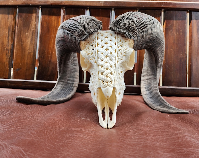 carve ram skull celtic white