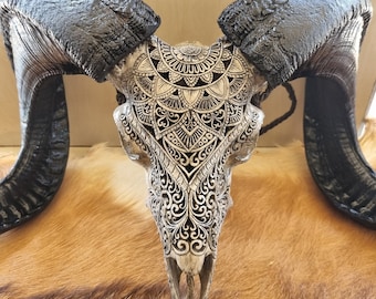 Hand-Carved Ram Skull – Black Horns with Mandala Tribal Design – Balinese Bone Art