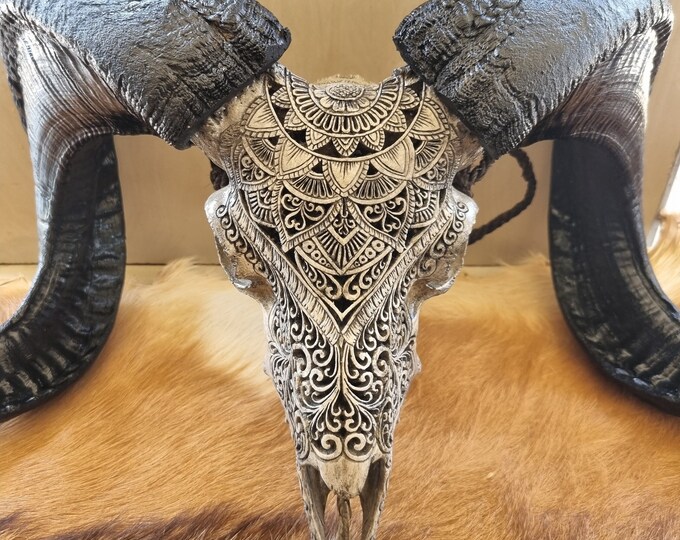 carve goat skull carving half mandala grey HUGE