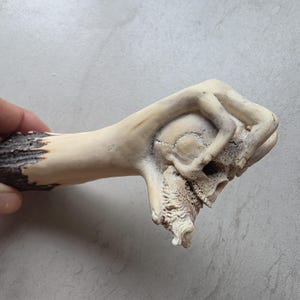 Mango de cuchillo tallado a mano en asta de ciervo – Arte tribal gótico con calavera y mano