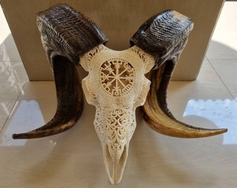 carved goat sheep skull carving viking white