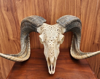 手彫りの雄羊の頭蓋骨：ブラウンアンティークホームデコレーション