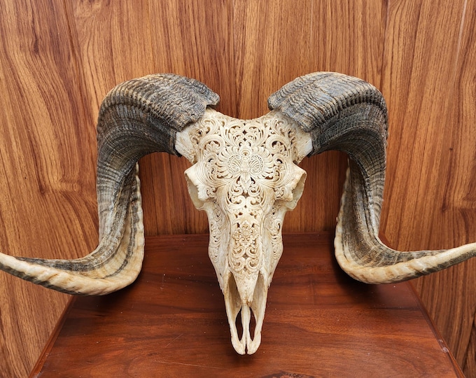 carve ram skull carving Floral antique