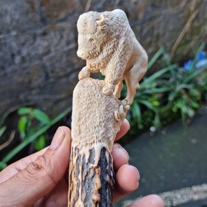 K&ouml;nnte beinhalten: Eine Hand h&auml;lt einen geschnitzten Hirschhorn-Griff mit einer detaillierten Schnitzerei eines Bisons auf der Oberseite. Das Hirschhorn ist braun und schwarz mit einer nat&uuml;rlichen Textur. Der Bison ist in einer hellbraunen Farbe geschnitzt und hat eine detaillierte Fellstruktur.
