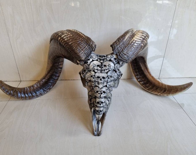 Carve ram skull sheep skull head