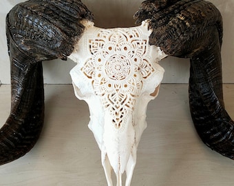 carved ram skull sheep skull carving mandala
