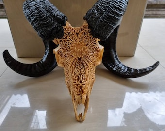 ram skull carving Lotus antic