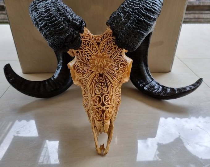ram skull carving Lotus antic
