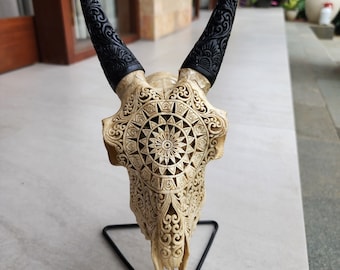 Carve goat skull carving madala round antic