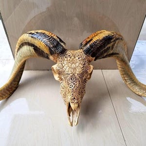 ヤギの頭蓋骨を彫る - Etsy 日本