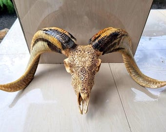 Hand-Carved Ram Skull – Floral lotus Design – Authentic Natural Horns
