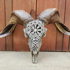 carve ram skull carving viking antic