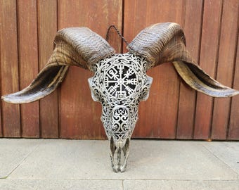 手彫りの雄羊の頭蓋骨：ブラウンアンティークホームデコレーション