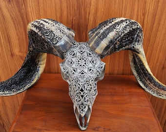 carve ram skull carving mandala grey carved horn