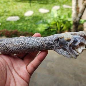 Antler carving skull on hand for knife handle