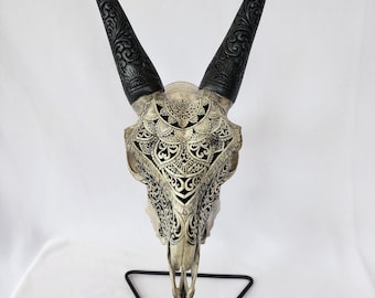 Carve goat skull half mandala grey